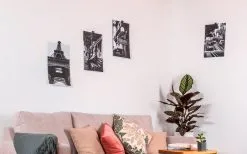 Silwy® Flex Magnethaken Inkl. Metall-Nano-Gel-Pads 5 Cm 8-tlg. Blau -Camping-Haushalt Verkaufs 336857 2526568