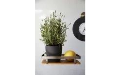 Wenko Universalregal Premium Wandregal 9 Wenko Universalregal Premium Wandregal -Camping-Haushalt Verkaufs 516434 3504149