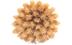 Origin Outdoors Reinigungsbürste Spülbürste Bambus Mit Naturfasern -Camping-Haushalt Verkaufs 746156 5037293